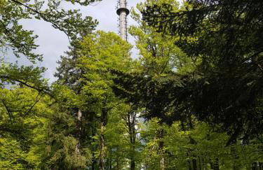 Ferienwohnung 32 im Ferienland Sonnenwald - Bayerischer Wald - Foto 18