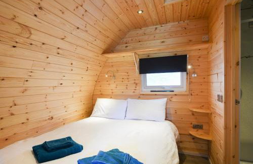 Barcud Coch - Uk44539 - Foto 7