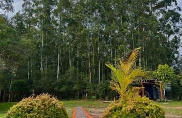 Cabana de teto de vidro - Foto 7