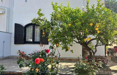 Casa del Sileno 12 - Foto 1