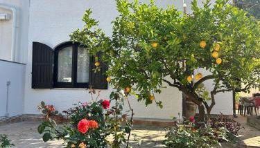 Casa del Sileno 12 - Foto 1, Garden