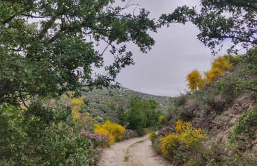 Casa La Oliva - Foto 37