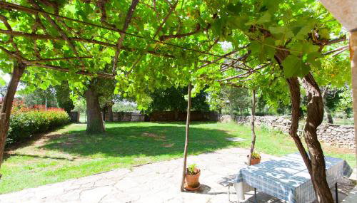 Villa Postaja - Foto 2, Garden