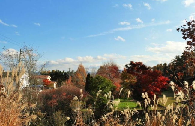 Polar Resort Nishikaruizawa 1 - Foto 20