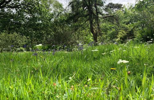 Beautiful Detached Farm House Near Lake Coniston - Pass the Keys - Photo 64