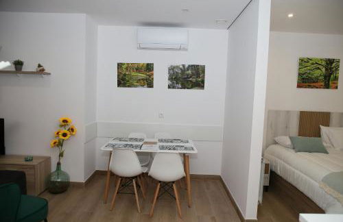 Apartamentos turisticos Chans do Carrasco S L U - Foto 6