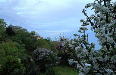 Αρχοντικό Πανόραμα - Foto 31