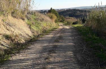 Meu Moinho - Foto 21