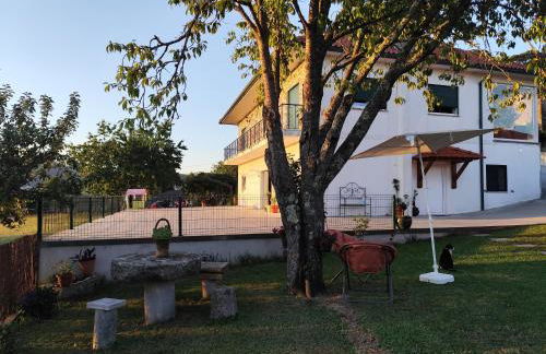 Casa de Baixo - Foto 4