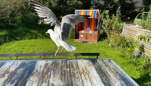 Esther - Photo 4, Garden