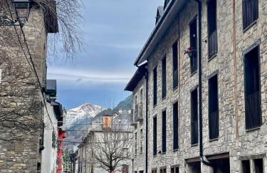 CALMFRANC ático abuhardillado con vistas al río y la montaña Avistamiento de ciervos en Canfranc Pueblo - Foto 41