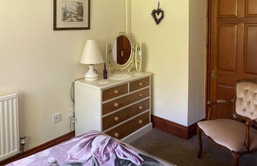 Steep Holm - Foto 16