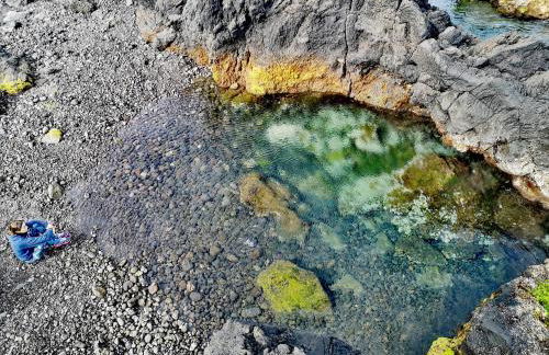 Azores Cow House - Photo 59