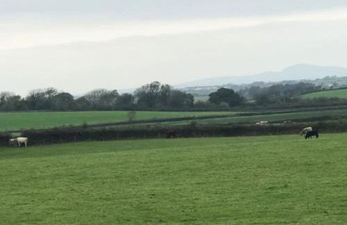 Coed Bach, Nr Rhosneigr, Anglesey (Pet Friendly) - Foto 25