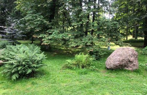 Słoneczne Apartamenty - Foto 56