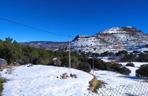 Mas de Muñoz - Foto 80