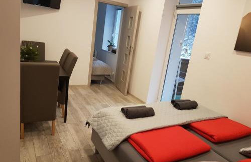 Apartamenty u Sikory - Foto 25