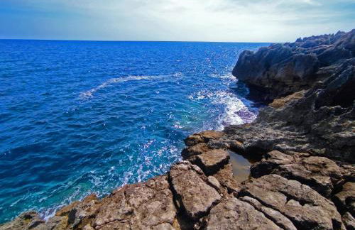 Tenuta Le Chiuse - Un'oasi di pace a un passo dal mare - Foto 41