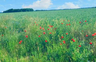 Ferienwohnung Irmchen - Foto 8
