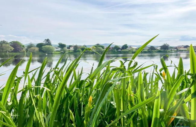 Cosy Holiday Home in the Harz Region - Foto 79