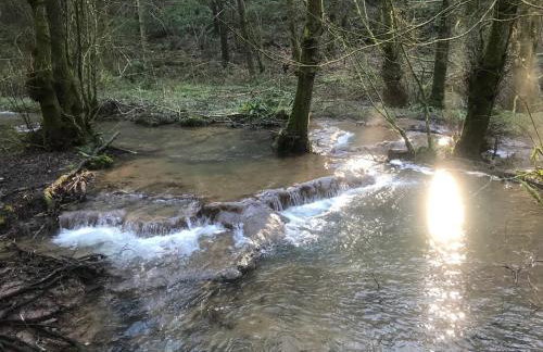 Sunnyview Annexe - Photo 29