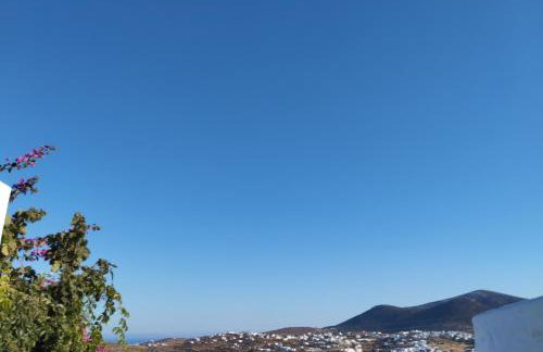 Θέα - Thea - Foto 4