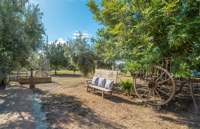 Son Catlar - Photo 26