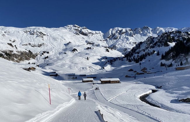 Spring Inn Apartments - Foto 58