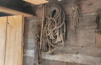 Agroturystyka Przy Rajskim Sadzie - Foto 59