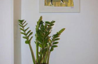 Casa Antiche Mura - Foto 9
