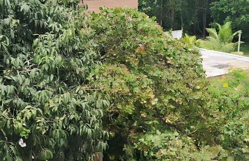 Bosque dos Camarás - Refúgio - Foto 17