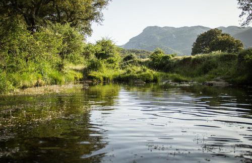 Tambor Del Llano - Foto 36