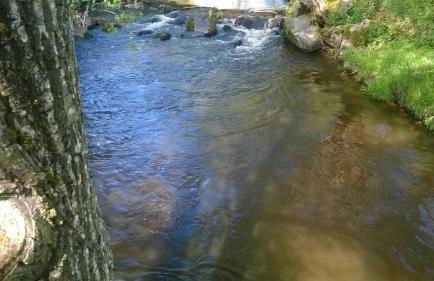Les Gites de l étang :Studio à 20 mn de Gerardmer - Foto 47