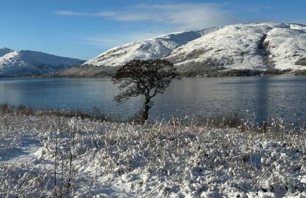 Hillview Guest House - Foto 13