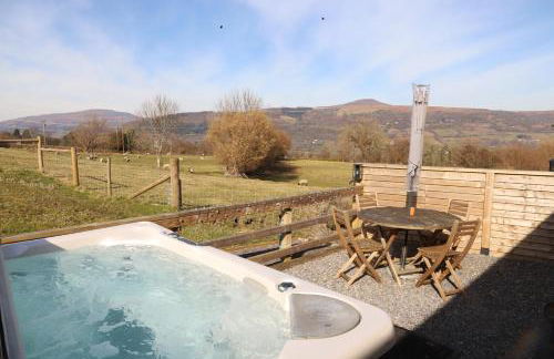 Cowshed in the Black Mountains - Foto 17