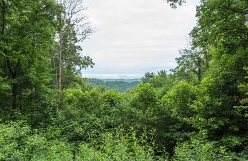 Blue Ridge Bliss Gorgeous home with hot tub & stunning views - Foto 31