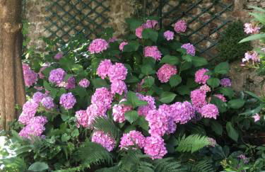 Le petit clos de Saint Goustan - Foto 29