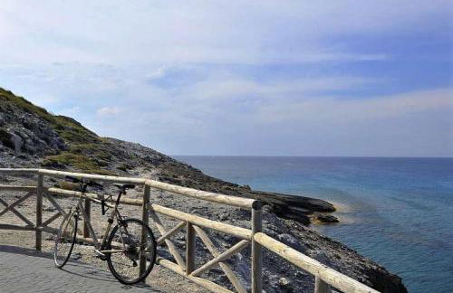 VILLA AUREA-Cala Mesquida- Primera linea de Mar - Photo 29