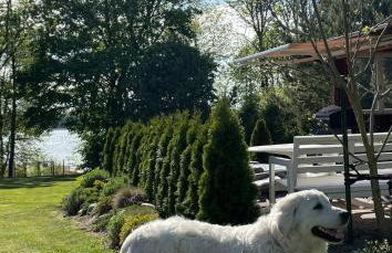 Miętowy Domek Trzebawie - Foto 38