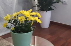 El rincón de MI NIÑA - Foto 11