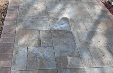 Beautiful Home Near Downtown & Cultural Gardens! - Foto 38