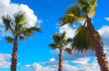 Tranquilidad a 2 minutos del mar - Foto 61