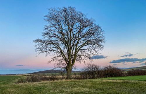 Ferienwohnung Santino - Foto 26
