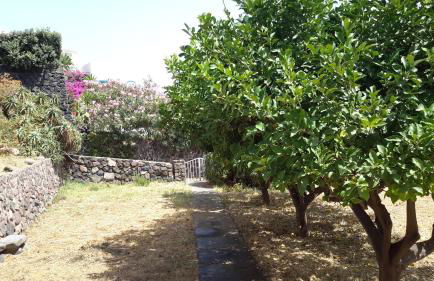 Da Riccardo - Foto 6