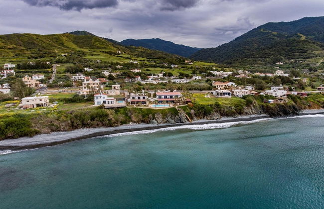 Sun Camero Apartments - Photo 16