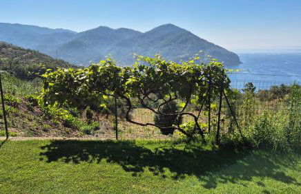 La Giulia Suites like Home - Foto 26