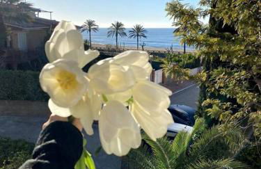 La Digue Beach House - Foto 17