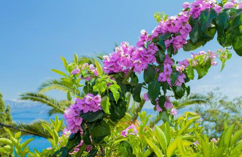 Apartment Villa Nede - Foto 67