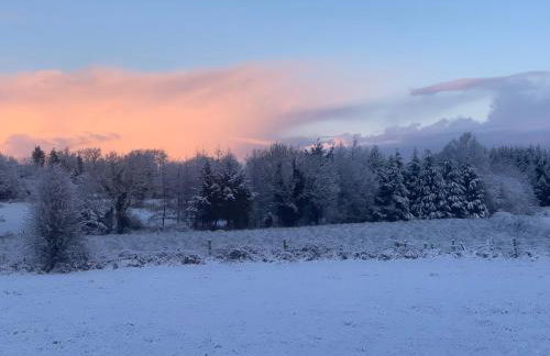 Whitethorn Shepherds Hut - Foto 8