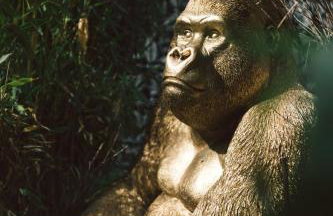 Luxus Villa KalkBÄRg - Foto 7